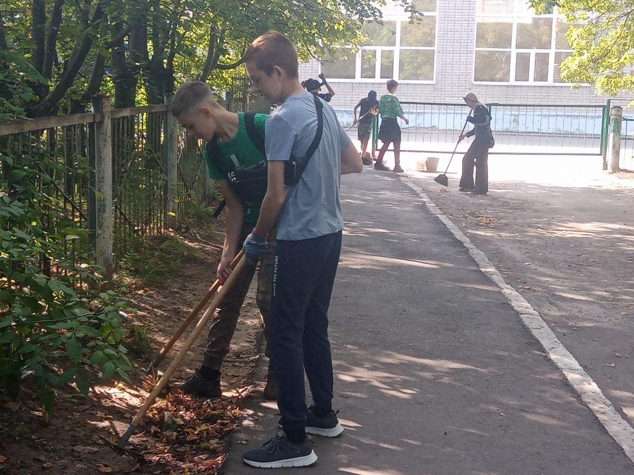 Трудовая практика..