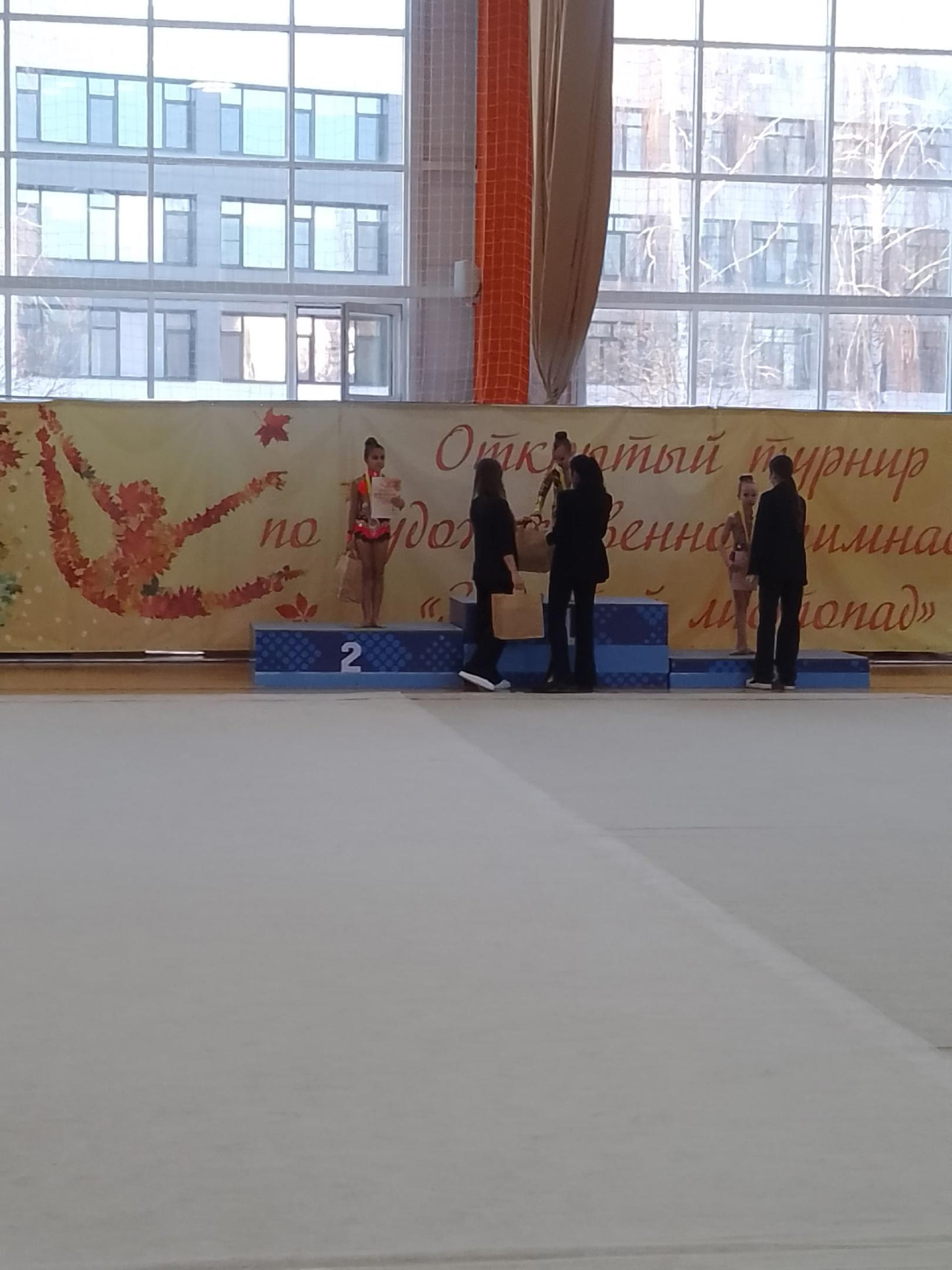 Спортивные достижения учащихся..